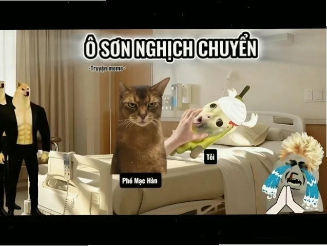 Kho tàng meme Tổng hợp meme