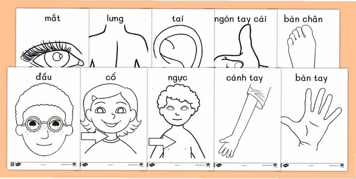 tranh bàn chân họa tiết
