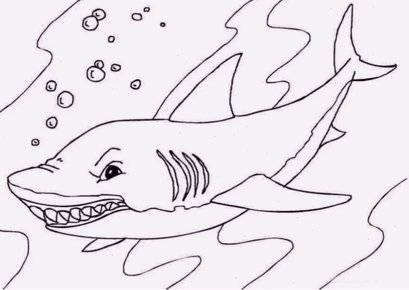 Baby Shark tranh cá mập cho bé tô màu Baby Shark dễ thương