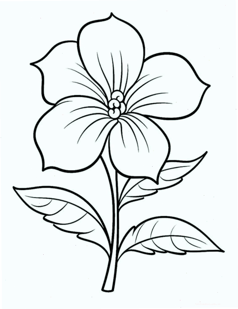 tranh tô màu bông hoa 6 cánh
