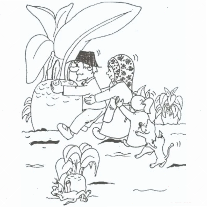 tranh tô màu củ cải trắng to rõ