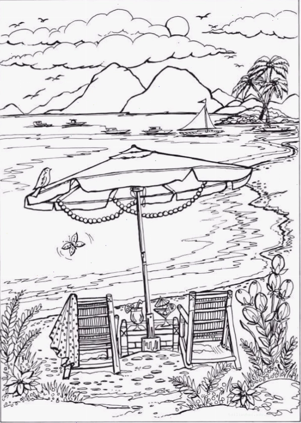 tranh tô màu phong cảnh bãi biển cùng chim hải âu
