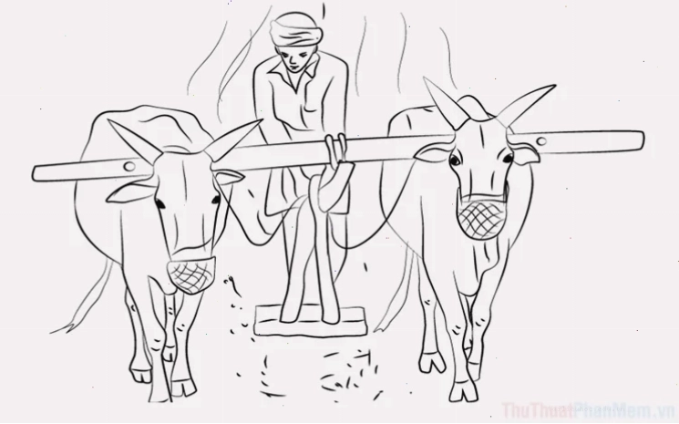 tranh tô màu sản phẩm nghề nông