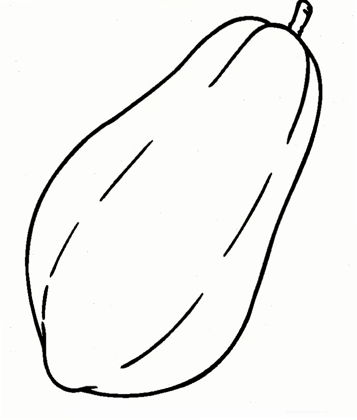tranh tô màu su hào mới