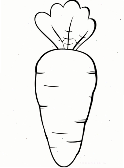 tranh tô màu su hào ngộ nghĩnh