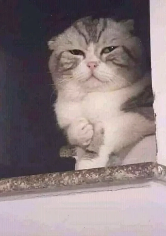 Trend meme đau Trend TikTok nổi bật