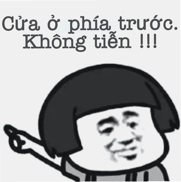 meme mèo dễ thương trung quốc meme hài hước