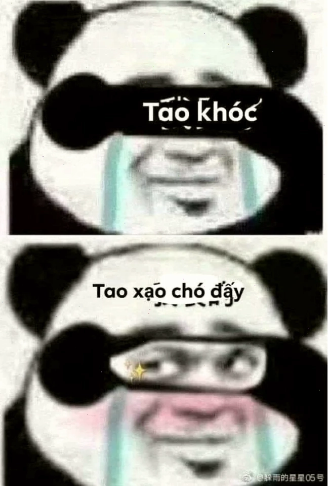 meme thực tế trung quốc meme hài hước