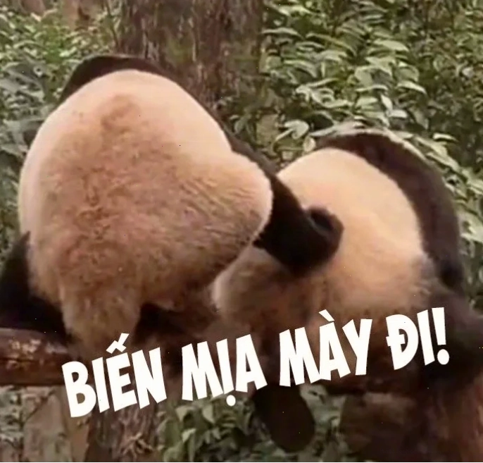 meme chia sẻ trung quốc meme hài hước