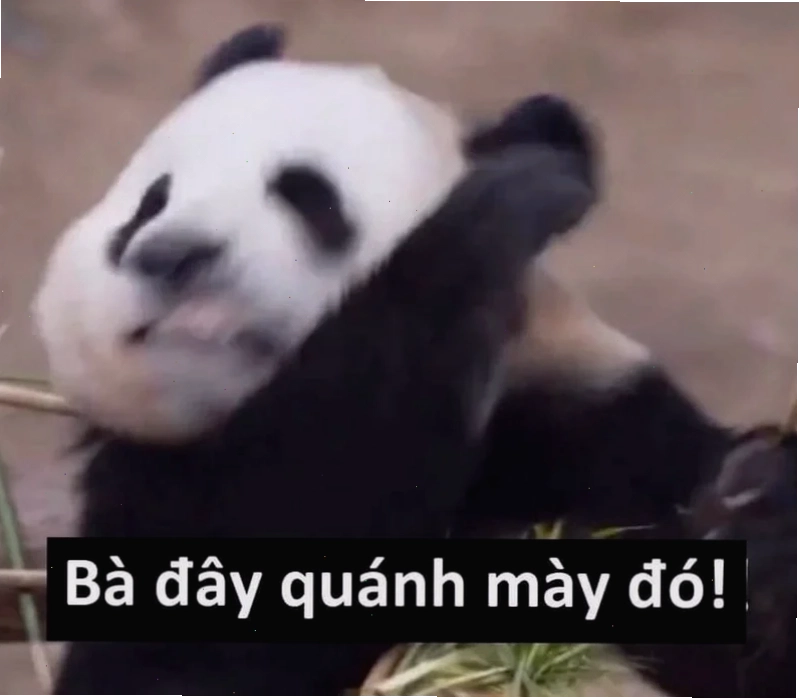 meme đời sống trung quốc meme hài hước
