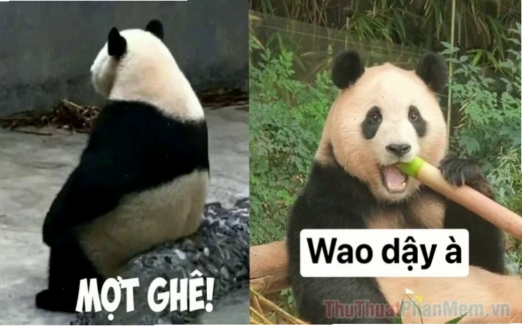 meme hài trung quốc meme hài hước