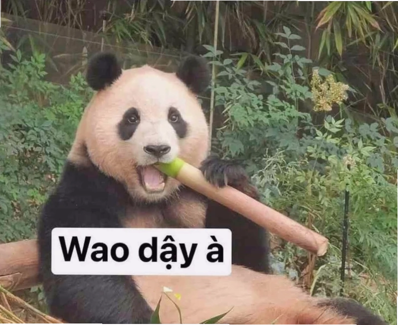 trung quốc meme bất lực trung quốc meme hài hước
