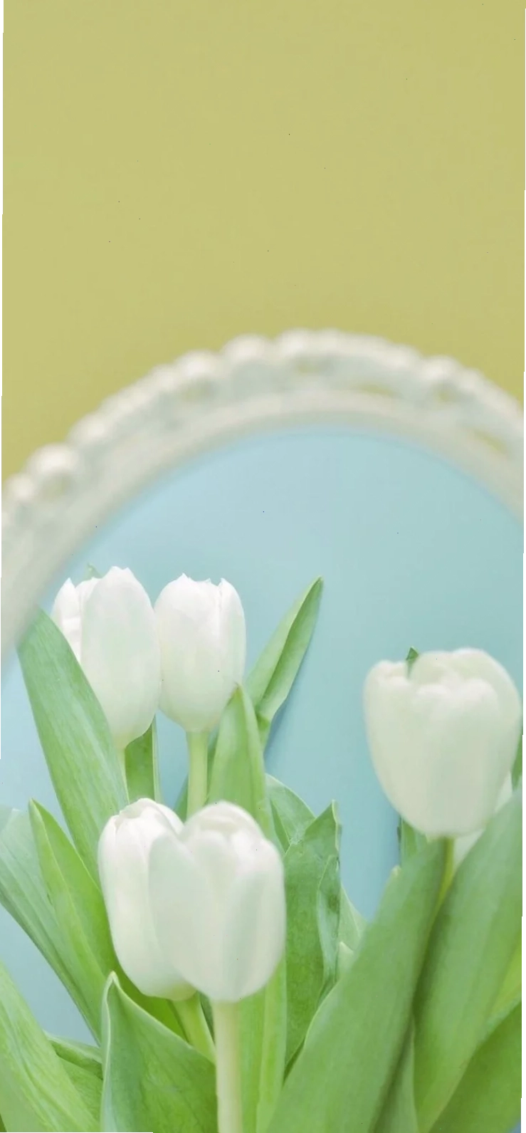 Tulip HDR