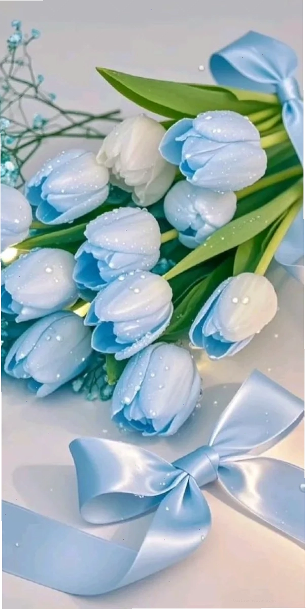 Tulip phối màu pastel