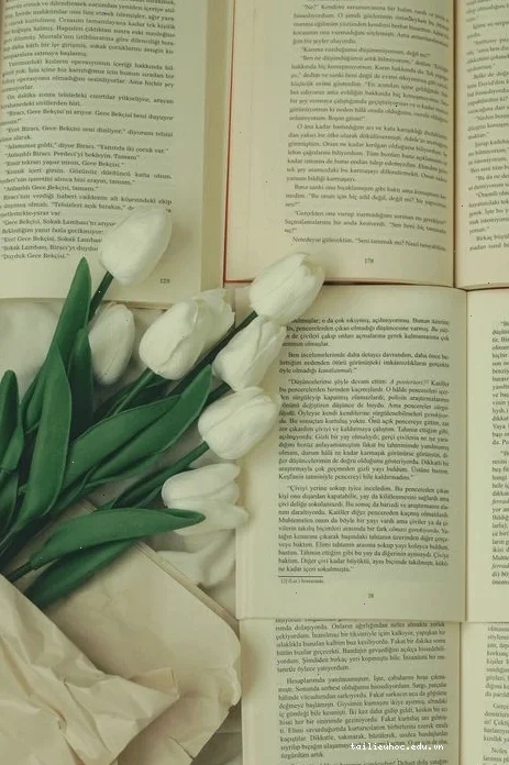 Tulip tối giản
