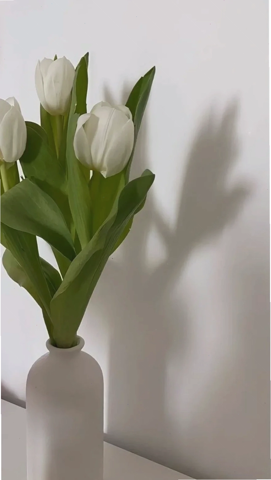 Tulip trừu tượng
