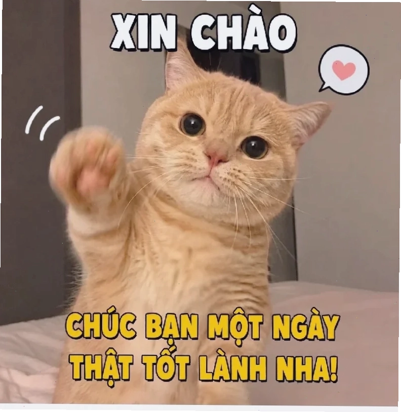 tương lai meme tương lai là sao meme