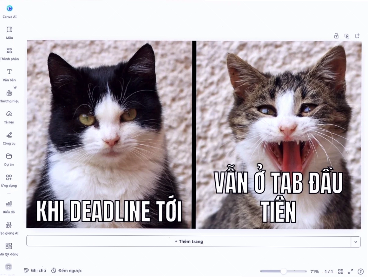 Vai trò quản lý meme trong trường hợp