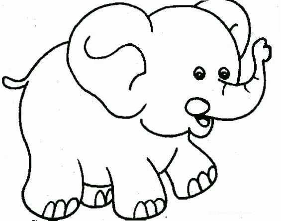 Voi Dumbo Voi Dumbo bay lượn