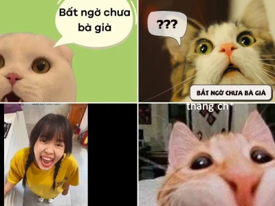 Bạn đã biết nguồn gốc meme bất ngờ chưa bà già hot nhất