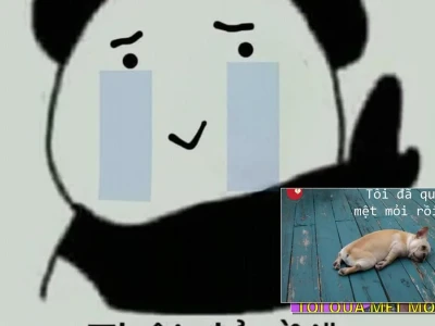 Bạn đã thấy quá đủ rồi quá mệt rồi meme cực hài chưa