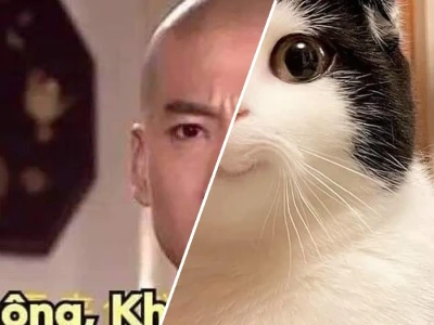 Bạn vẫn không hiểu meme khó hiểu tại sao lại gây bão