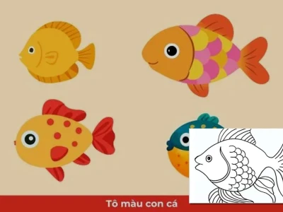 Bé băn khoăn con cá tô màu gì cho chuẩn và đẹp nhất