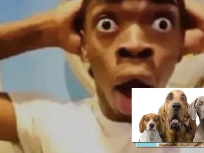 Bộ sưu tập 9999 meme ngạc nhiên cực lầy lội cho bạn