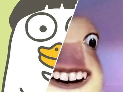 Bộ sưu tập ảnh con vịt meme gây cười siêu cấp