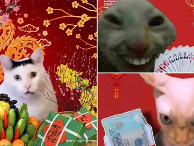 Bộ sưu tập ảnh tết meme 2026 độc lạ cười ra nước mắt