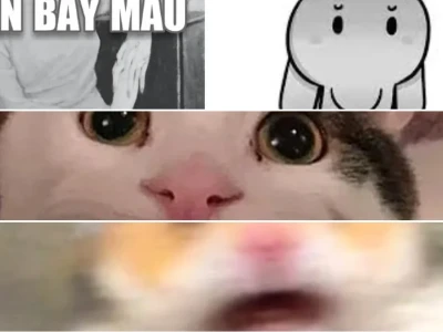 Bộ sưu tập bay màu meme hài hước nhất mọi thời đại