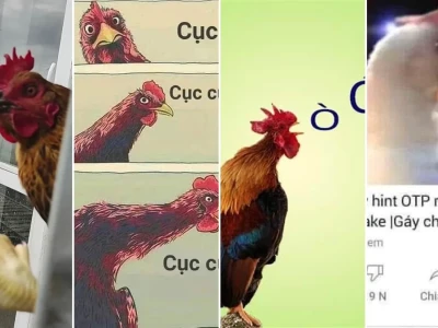Bộ sưu tập gà gáy meme cực hài hước cho bạn troll bạn bè