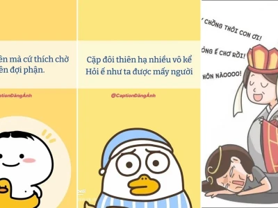 Bộ sưu tập hình nền ế cực chill cho dế yêu của bạn
