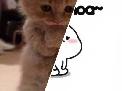 Bộ sưu tập hình nền xin lỗi độc đáo cho mọi mối quan hệ