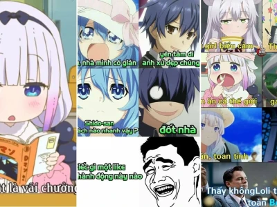 Bộ sưu tập meme anime hài bựa cực đỉnh cho bạn cười ngất