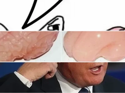 Bộ sưu tập meme thông não cực lầy lội và hài hước