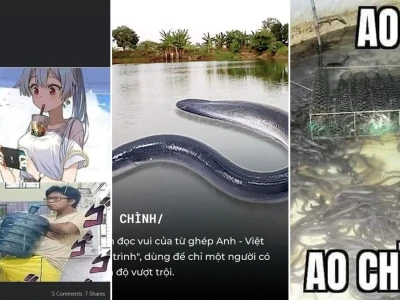Giải mã ao chình meme hiện tượng mạng độc lạ