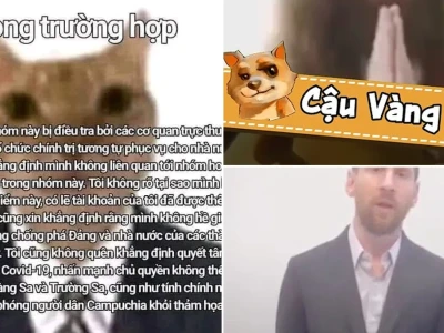 Hệ lụy pháp lý dùng meme trong trường hợp meme khó lường