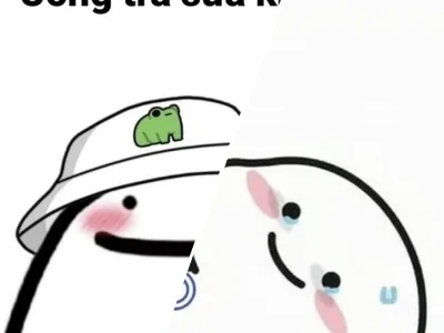 Kham Pha The Gioi Meme Tra Sua Doc Dao Tai Meme Tea