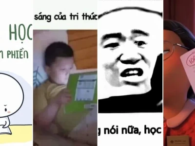 Meme học bài đi cùng những khoảnh khắc cực lầy lội