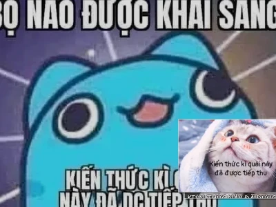 Meme kiến thức này đã được tiếp thu và sự thật phũ phàng
