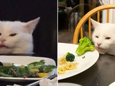 Meme mèo ăn rau cực bựa khiến bạn cười không nhặt miệng