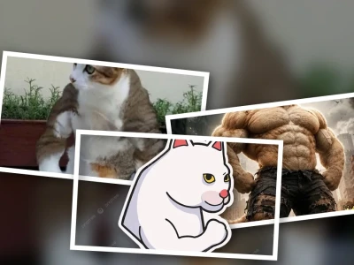 Mèo cơ bắp meme bá đạo khiến bạn cười nghiêng ngả ngay