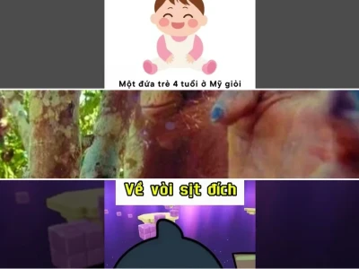 Sự thật nổ não meme và trào lưu giải trí cực độc đáo
