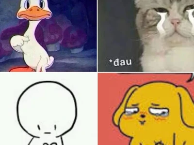 Tại sao đau ở đây này meme lại gây bão mạng xã hội