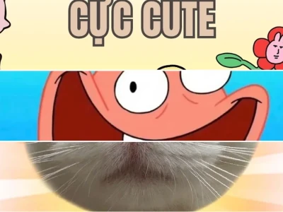 Tổng hợp bộ sưu tập avatar vô tri meme độc lạ nhất