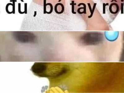 Tổng hợp bó tay meme cực hài hước cho team thích cà khịa