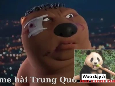 Tổng hợp trung quốc meme độc lạ hài hước nhất hiện nay