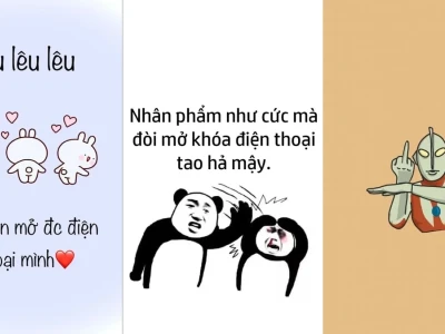 Top 150 hình nền vui nhộn cực chất cho máy tính điện thoại