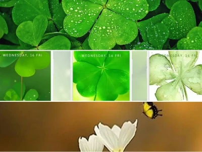 Top 21 mẫu hình nền cỏ 4 la cho điện thoại siêu may mắn